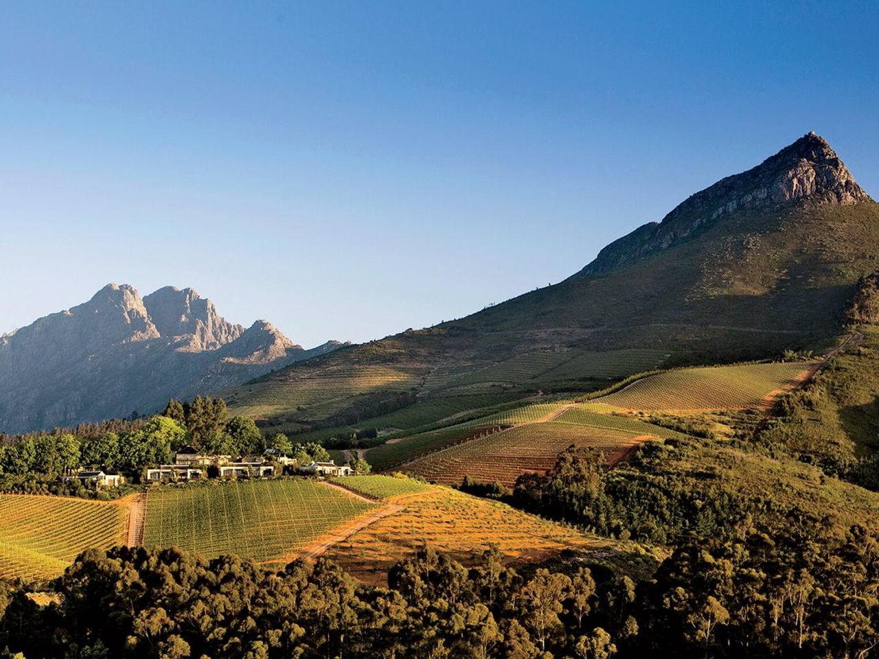 Cape Winelands near the Paarl office
